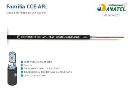 CABO CCE APL 50.06 PARES