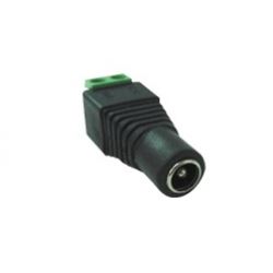 Plug P4 F�mea Com Borne - 10 Pc