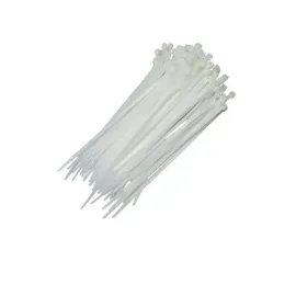 abra�adEIRAS  NYLON 2.5X100MM NATURAL - 100 PC   SP