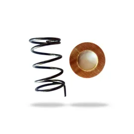 CONJUNTO FREIO MOTOR ARRUELA E MOLA    SP