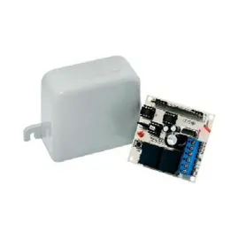 m�dulo MD T01 PECCININ 12/24V  (V.A.)   SP