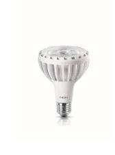 LAMPADA LED DIRECIONAL LPAR30-9-70WMVS