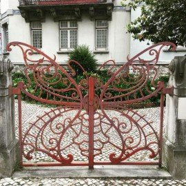 Porto Surpreenda com uma bela borboleta